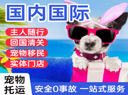 北京密云穆家峪国际宠物托运 【国